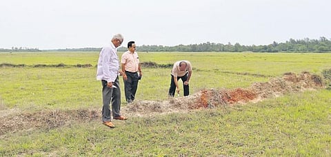 Archaeologist Sunil Patnaik and his team surveying the site I EXPRESS