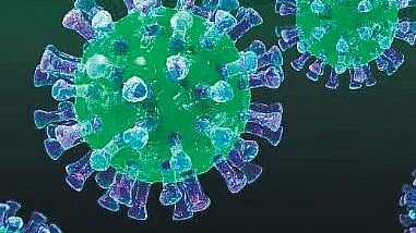 For representational purpose