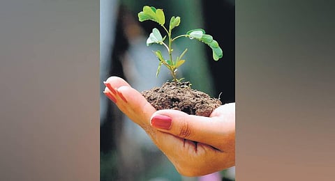 Image used for representational purpose only. (Photo | AFP)