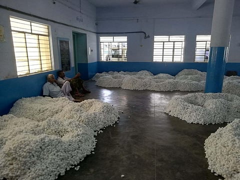 In the last few months, the price of silk cocoons has fallen and farmers attribute it to Grasserie infection which is seasonal.