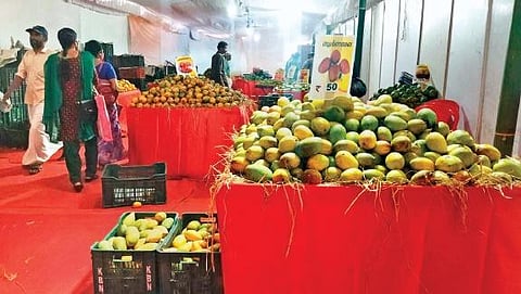 Image used for representational purposes only