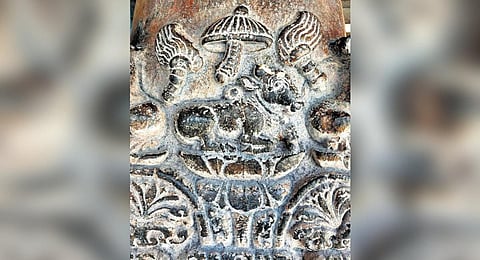 Padma Nandi, the royal symbol of the Nolamba Pallava Kings I Express