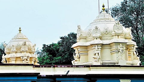 Between the villages of Dusi and nearby Mamandur (home to the Lakshmi Narayana Perumal temple), is one of the largest irrigation lakes in Tamil Nadu called the Dusi-Mamandur tank.