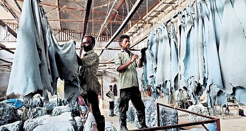 Demand for leather products is expected to pick up by end of July | s dinesh