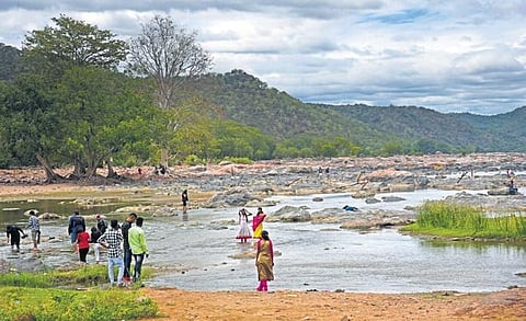 Area of Mekedatu dam. (Photo | Shiba Prasad Sahu)