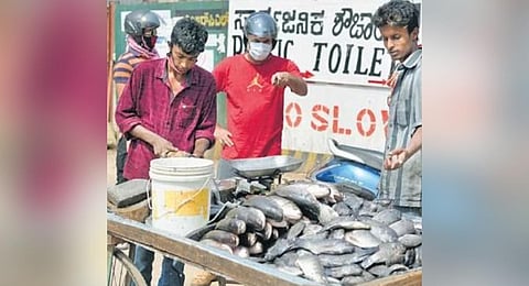 As annual ban kicks in, fish prices in Bengaluru set to zoom north