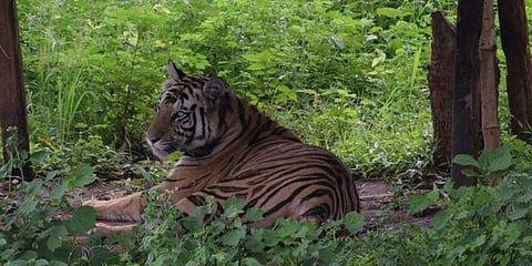 Image used for representational purposes (Photo | EPS)