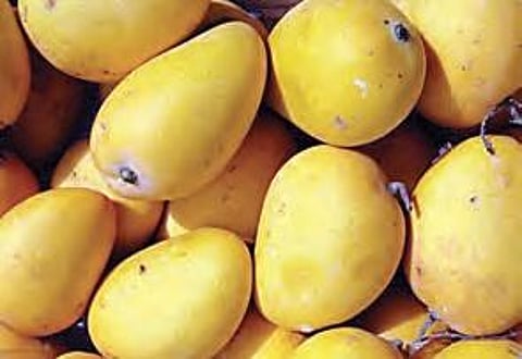 Image used for representational purpose only.