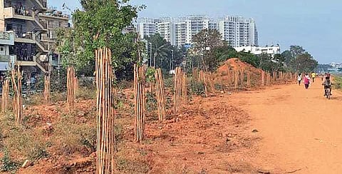 Image used for representational purpose