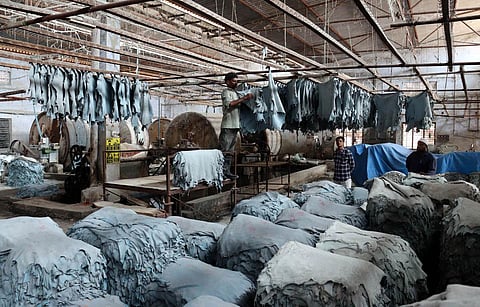 CLRI is conducting research on recycling different kinds of waste that includes making synthetic tanning material out of shaving waste, converting flesh waste into poultry feed. (Photo | S Dinesh)