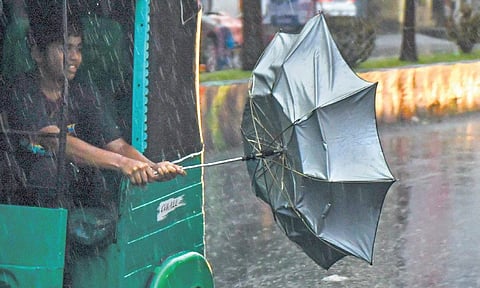 A child is having fun with his umbrella while travelling in an auto during rainfall in Vijayawada on Wednesday | Prasant Madugula