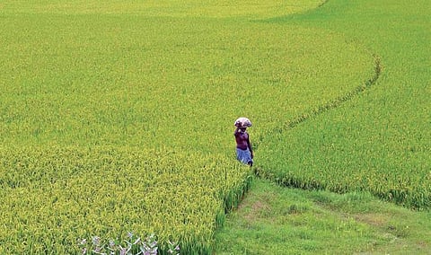 Image used for representative purpose only