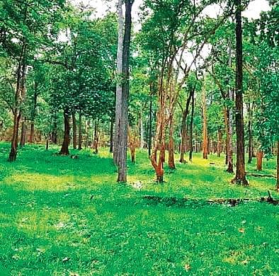 Representational image