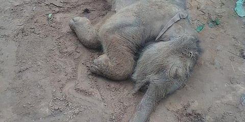 For representational purposes (Photo | EPS)