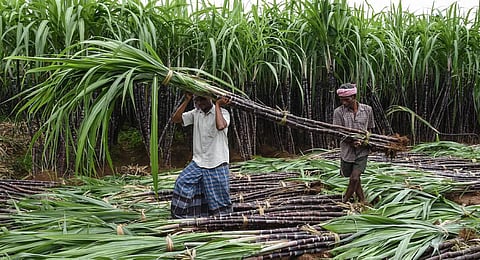 FILE - Image used for representational purposes only. (Photo | PTI)