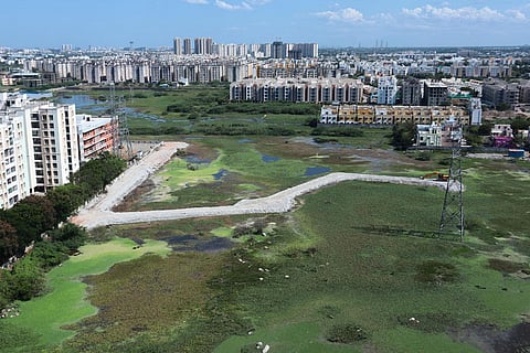 A road is being laid allegedly by a private realtor inside the Perumbakkam marshland. (Photo | Monishlinus)
