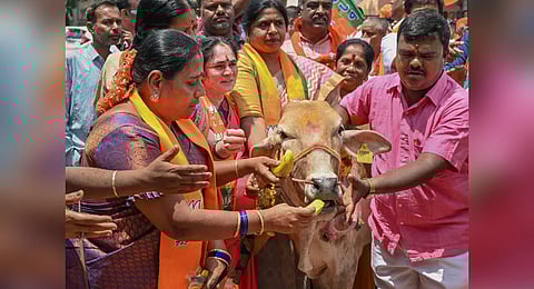 BJP supporters perform 'cow puja' during a protest against the Karnataka government. (Photo | PTI)