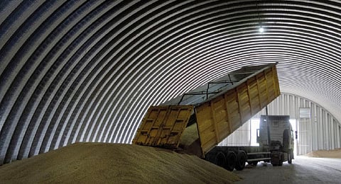 A dump track unloads grain in a granary in the village of Zghurivka, Ukraine (Photo | AP)