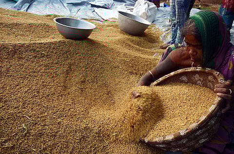 Image used for representational purposes (Photo | EPS)