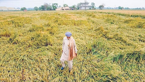 Image used for representational purposes