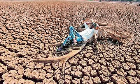 As global warming gains pace, countries in Asia are coming up with ways to protect their agricultural and fishing sectors