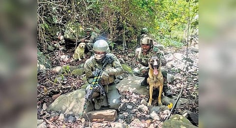 Security forces during an operation in Imphal West-Kangpokpi border area. (Photo | Express)