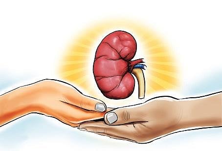 Image used for representational purpose.