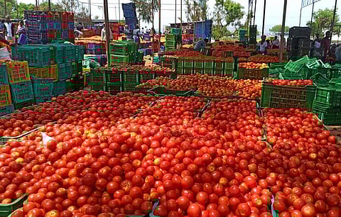 Image used for representational purpose only. (Photo | EPS)