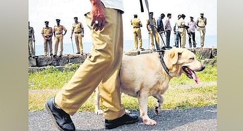 K9 squad. (Photo | Express)