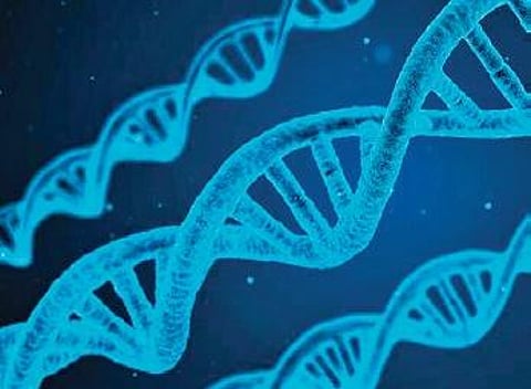 Image used for representational purpose. (Photo | Express)