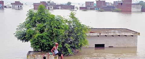 Many parts of the NCR continued to remain submerged on Friday | PTI