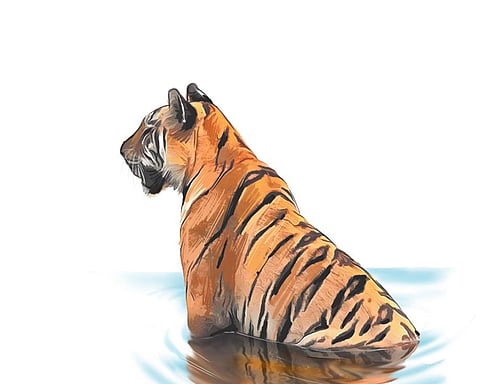 Image used for representational purpose.