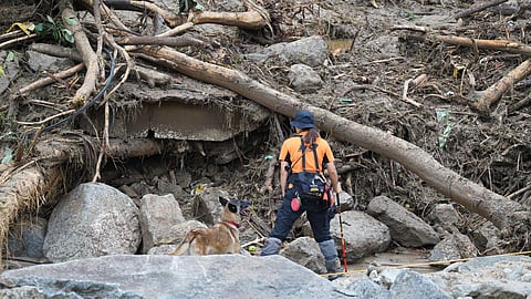 South Korean rescue workers searching for missing persons after a landslide. (Photo|AFP)