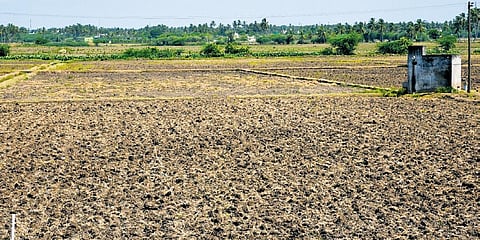 A parcel of farmland at Keela Mullaikudi near Tiruchy on which cultivation is yet to be taken up | MK ashok kumar