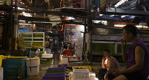 Wholesalers stopped selling Japanese fishery products following news from Japan on its plan to discharge treated radioactive wastewater into the sea. (Photo | AP)