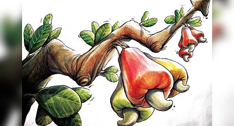 Image used for illustrative purposes only. (Express illustrations | Soumyadip Sinha)