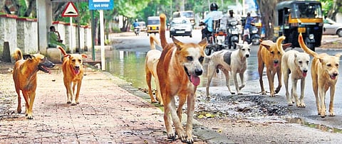 Image used for representational purpose.