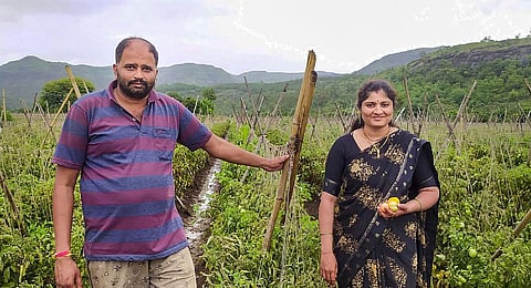 Ishwar Gaykar, a tomato farmer from Pachghar village, with his wife, in Pune. Gaykar reportedly earned Rs three crore through the sale of his crop yield between June 11 and July 18. (PTI)