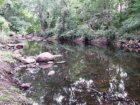 Chinnar river. Image used for representational purpose (Photo | Wikimedia Commons)