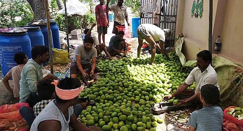 From pickle making to marketing, the march of Usulumarru village of East Godavari district, in the last 40 years is an inspiring story of social and economic empowerment of women and men.(Express)