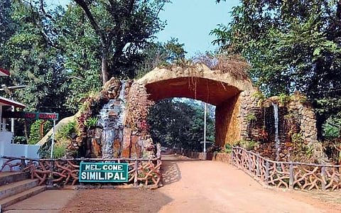 File photo of the entrance gate of Similipal Tiger Reserve | Express