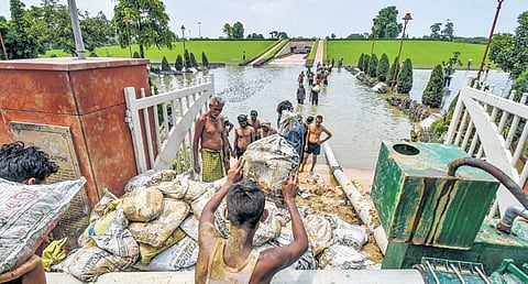 Workers drain water from the Raj Ghat complex on Wednesday | PTI