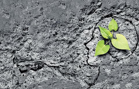 For representational purposes