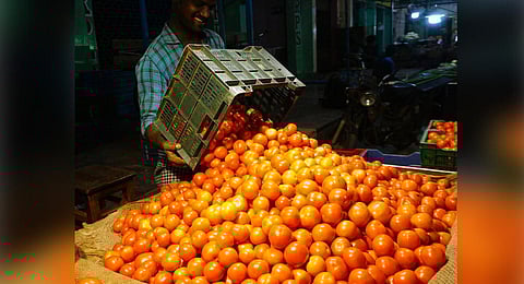 The price of tomatoes came down by around Rs 30 per kg. (Photo | R Krishnaraj Linus)