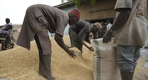 Putin's decision to spike the deal could backfire against Russia's own interests, straining Moscow's relations with key partner Turkey and hurting its ties with African countries. (Photo | AP)