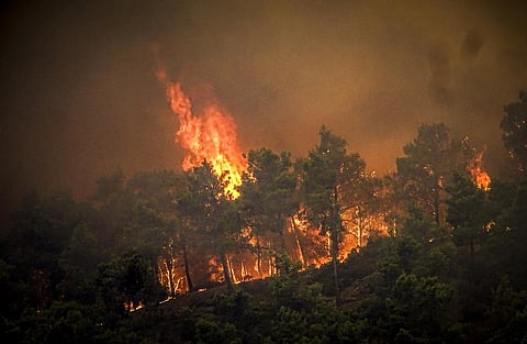 Flames rise during a forest fire on the island of Rhodes, Greece, Saturday, July 22, 2023. (Photo |AP)