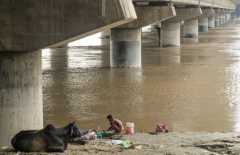 A man washes clothes at the bank of the swollen Yamuna river near Nigambodh Ghat, in New Delhi, Monday, July 24, 2023. (PTI)