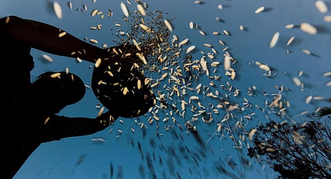 Image used for representational purposes only. (File Photo | PTI)