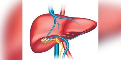 For representational purpose