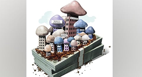 Image used for representational purpose only. (Express IIlustration)